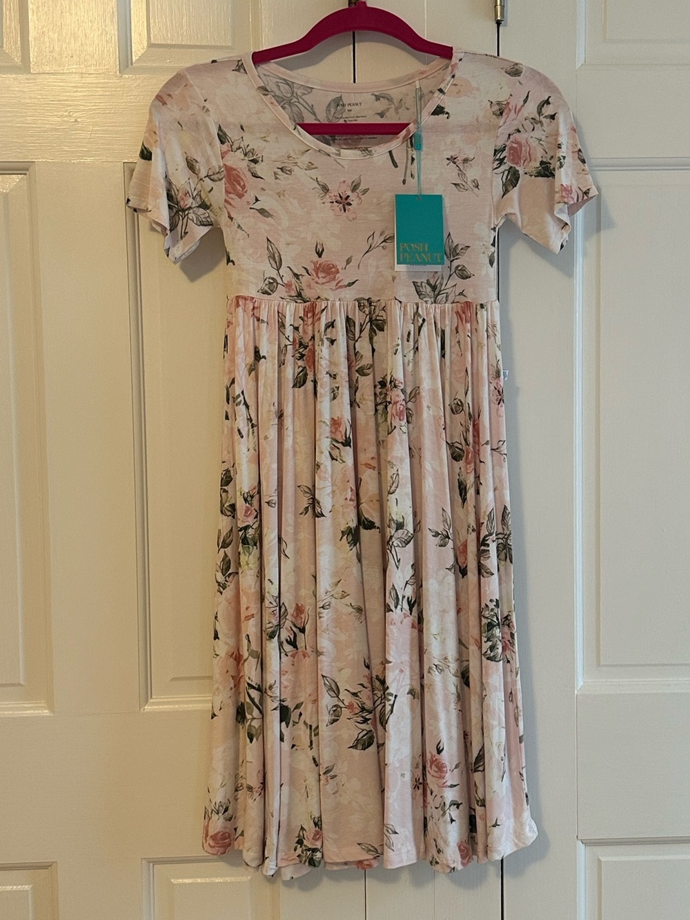 Posh Peanut Pink Floral Short Sleeve Twirl Dress